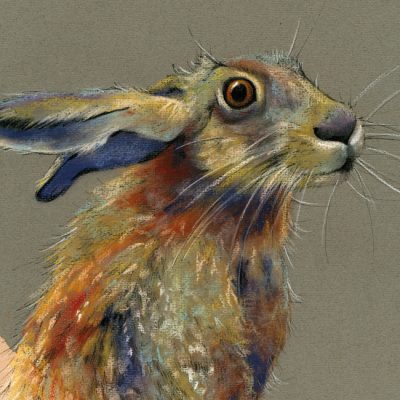 Animal Art & Prints