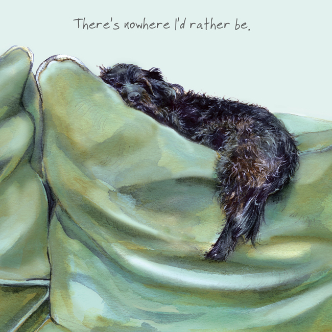 Sleeping Little Black Dog Greetings Card