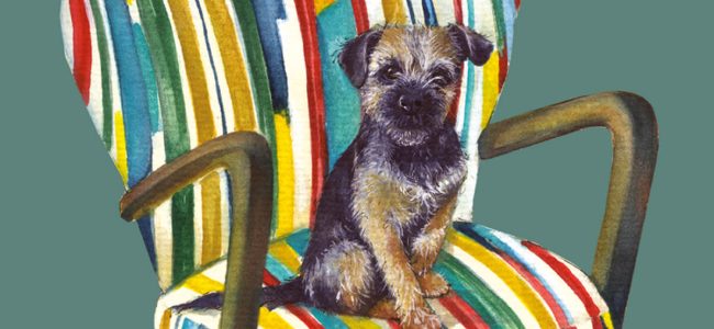 Border Terrier Greeting Card