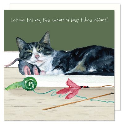 Cat £1 Card Sale