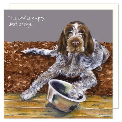 Italian Spinone Cards and Gifts