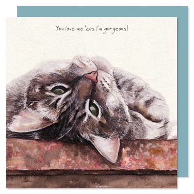 Cats