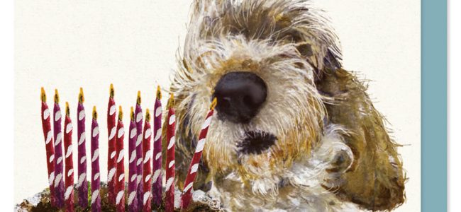 GBGV Birthday Card