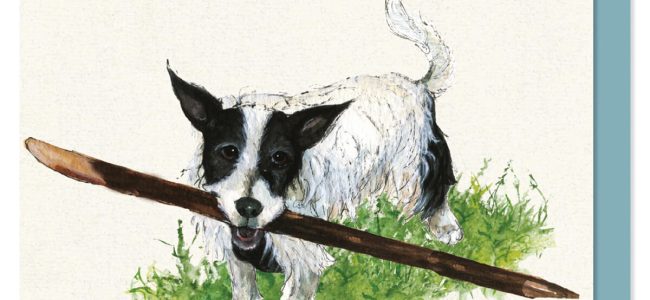 Dog with prize stick greeting card