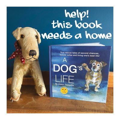 Dogs Trust Collection