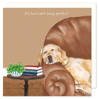 Labrador Cards and Gifts