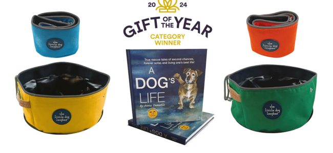 The Little Dog Laughed Designer Pet Accessories Collection