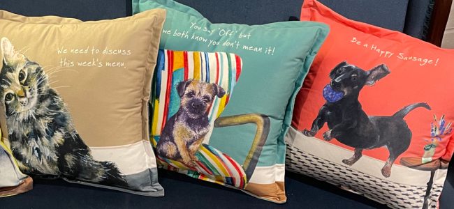 Pet-themed Cushions