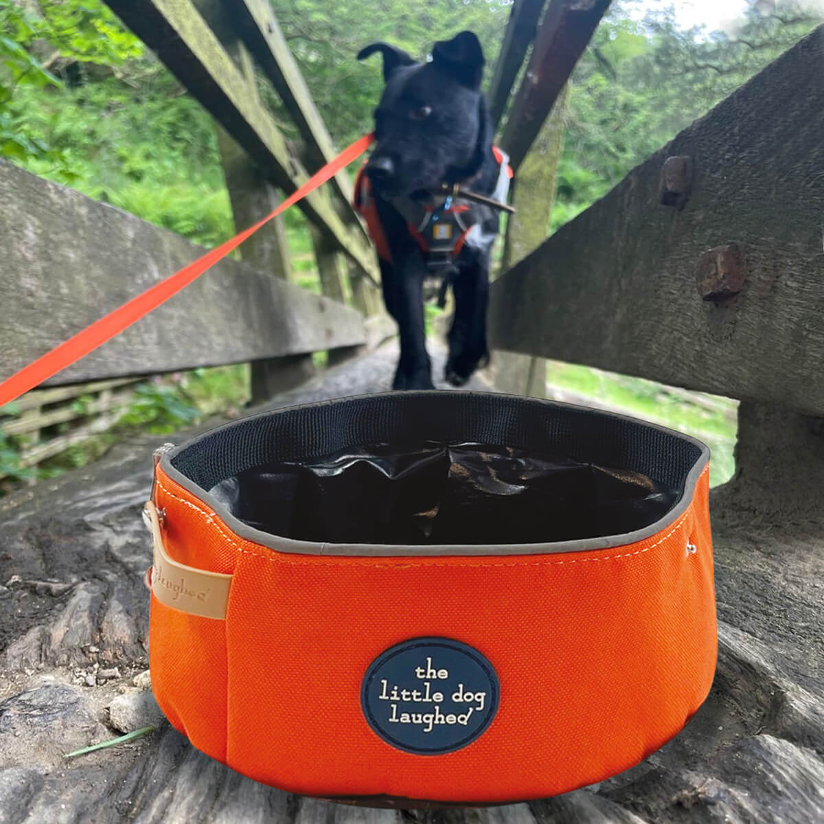 Orange Travel Pet Bowl | The Little Dog Laughed 