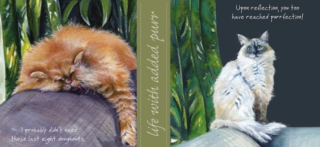 cat cards for every occasion