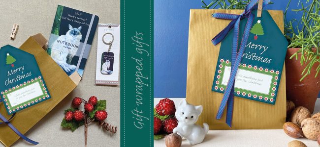 Gift wrapped gift ideas