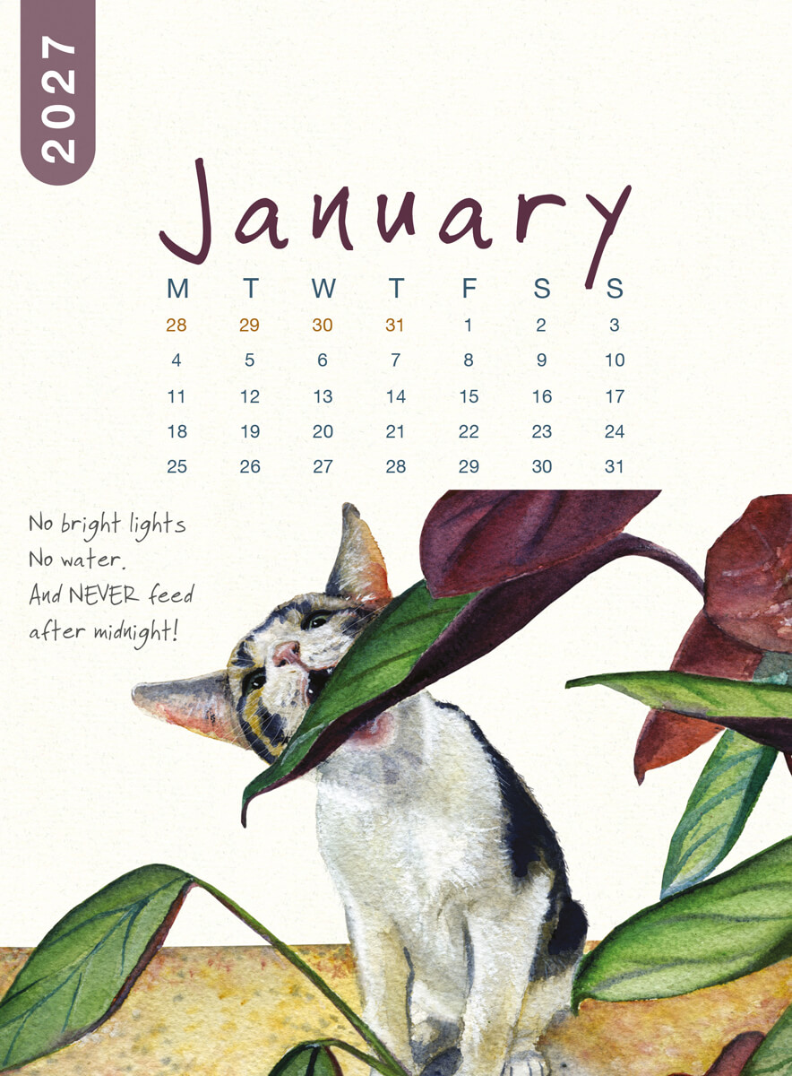2027 Cat Desk Calendar - Image 5