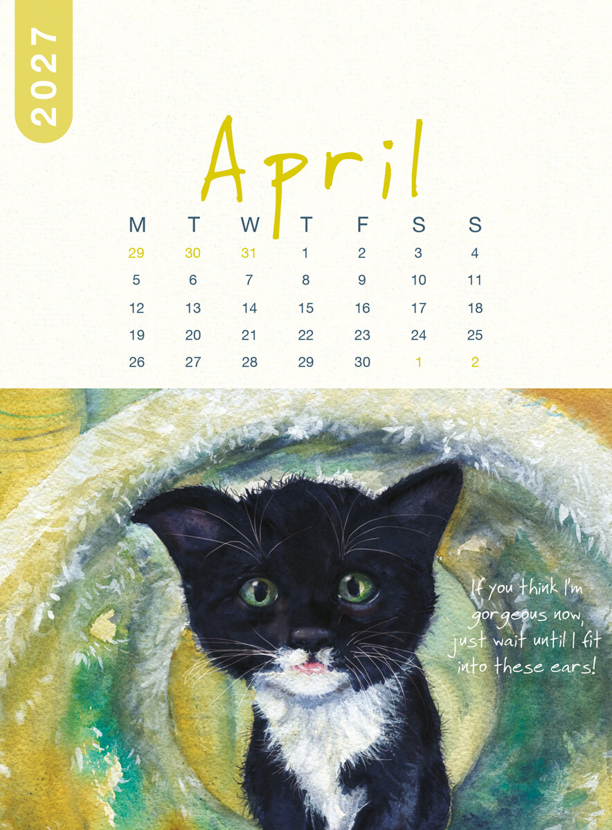 2027 Cat Desk Calendar - Image 8