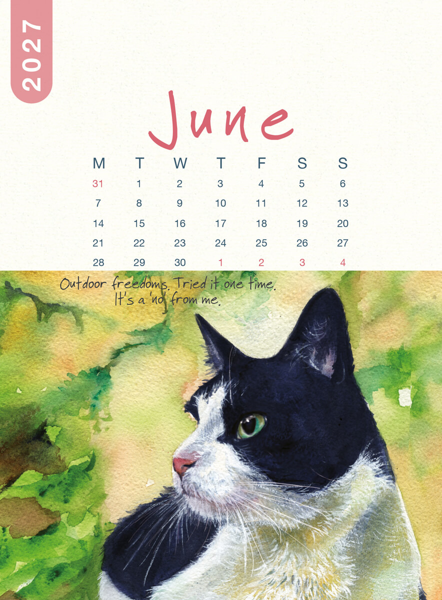 2027 Cat Desk Calendar - Image 10