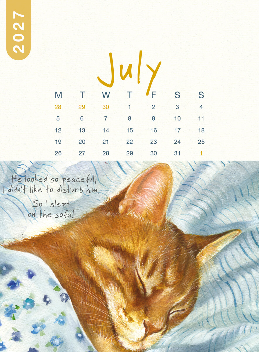 2027 Cat Desk Calendar - Image 11