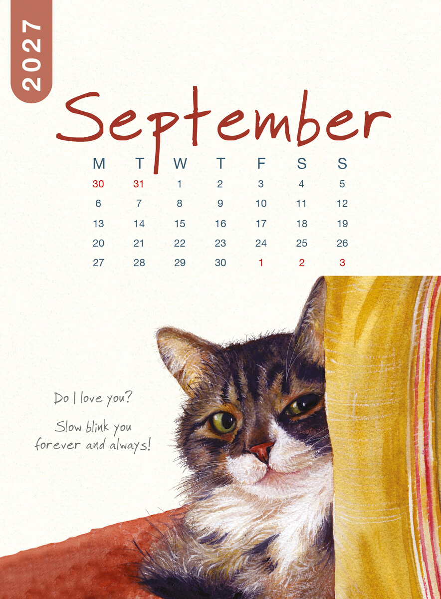 2027 Cat Desk Calendar - Image 13